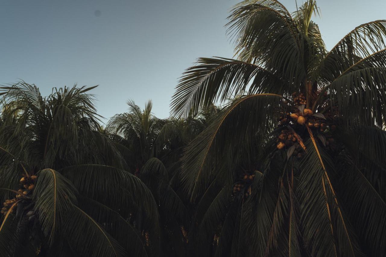 Casa Peregrino Holbox Otel Dış mekan fotoğraf